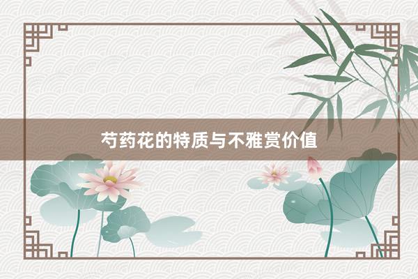 芍药花的特质与不雅赏价值
